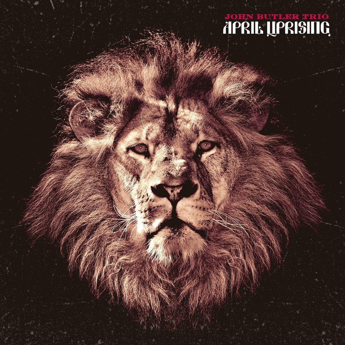 CDs - [cd] April Uprising
